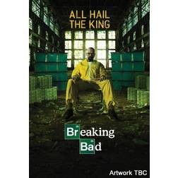 Breaking Bad - Season 5* [DVD + UV Copy]